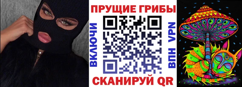 Псилоцибиновые грибы Psilocybine cubensis  Купить где  Архангельск 